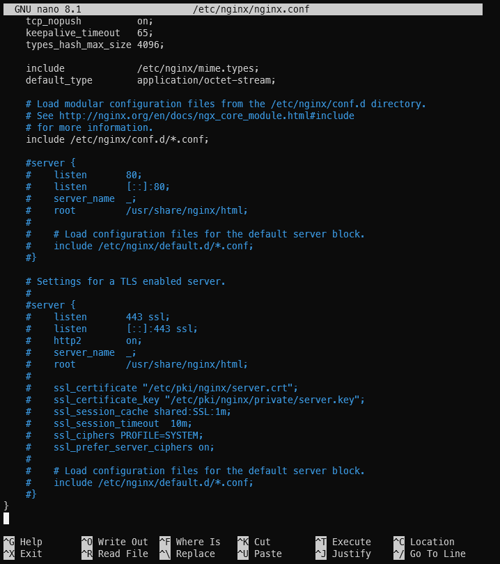 A terminal screenshot showing the nano editor with the NGINX configuration being open.